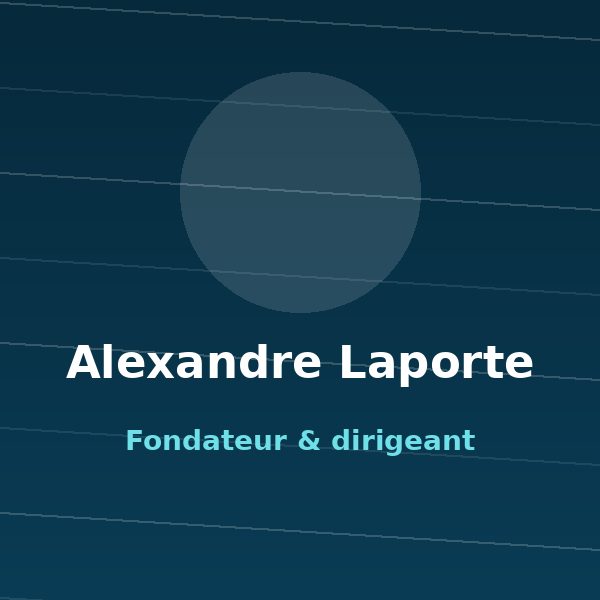 Alexandre Laporte, Fondateur & dirigeant